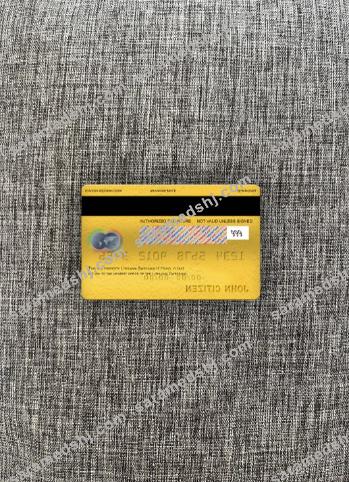 Lithuania Swedbank mastercard photolook back